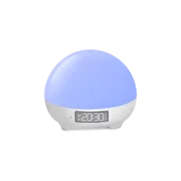 Night Light Lamp with Alarm Clock