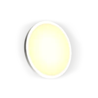 ceiling-atmosphere-light-24w-wifi-bluetooth-smart-rgb-ceiling-light-naeem-technologies